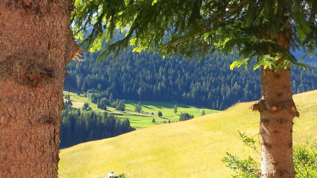 Ciasa Alpina Relax Hotel Моена Екстер'єр фото