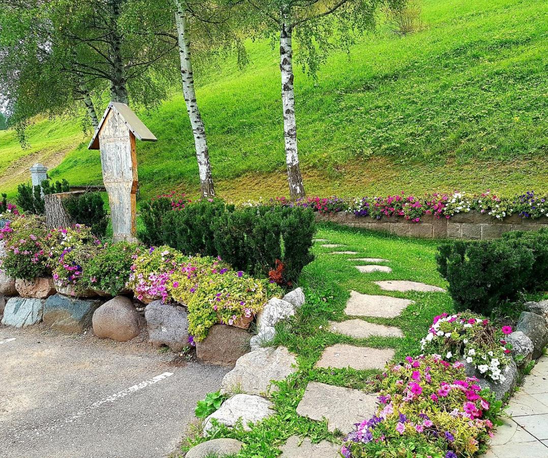 Ciasa Alpina Relax Hotel Моена Екстер'єр фото
